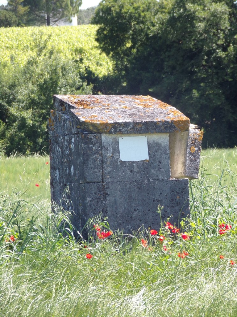 Bouteville – Un puits à la Bouarderie (10 juin 2024)