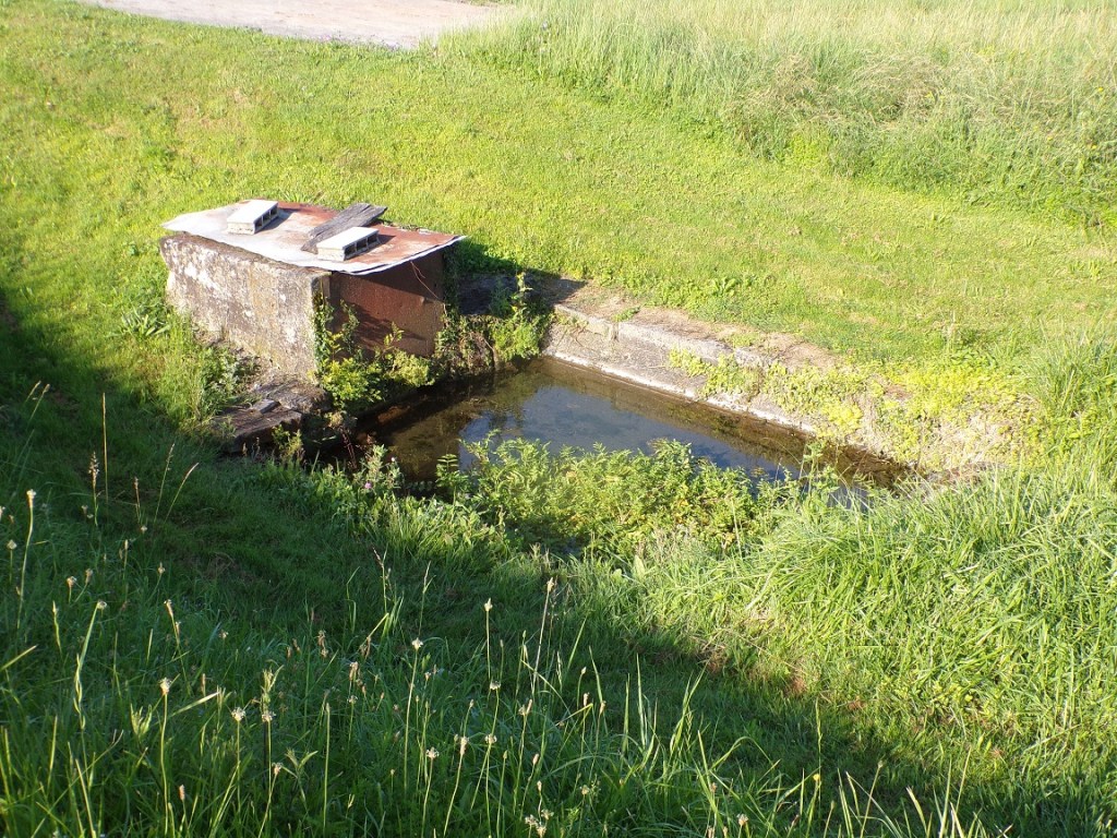 Juillac-le-Coq - Le lavoir ‘des Epies’ (25 juin 2024)