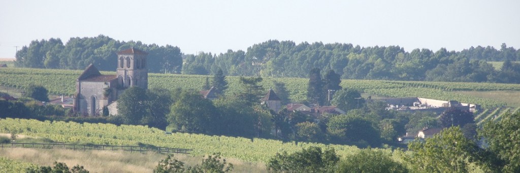 Juillac-le-Coq - Vue de la route de Genté (25 juin 2024)