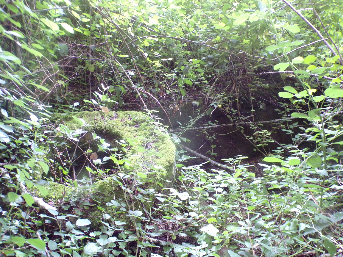 Mareuil - Lavoir 'Le Plessis' (19 juin 2024)