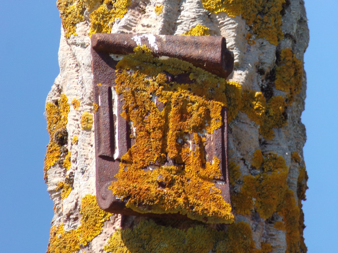 Saint-Martial-sur-le-Né – Croix de mission ‘1908 – 1951’ (5 juin 2024)