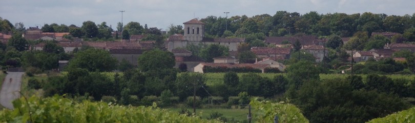 Sigogne - Vue de la route de Mareuil (19 juin 2024)