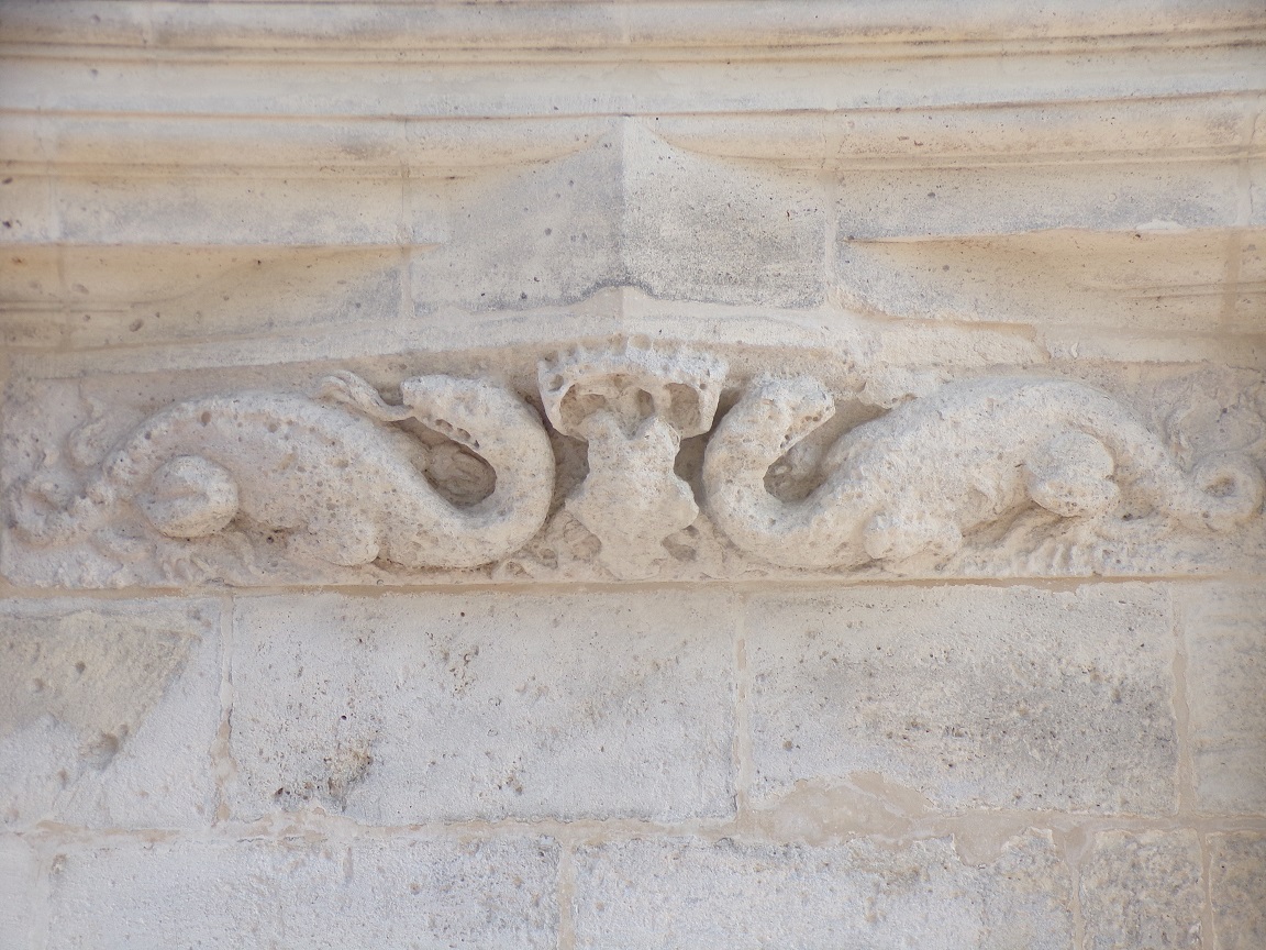 Le Château François 1er - Les salamandres (22 août 2024)