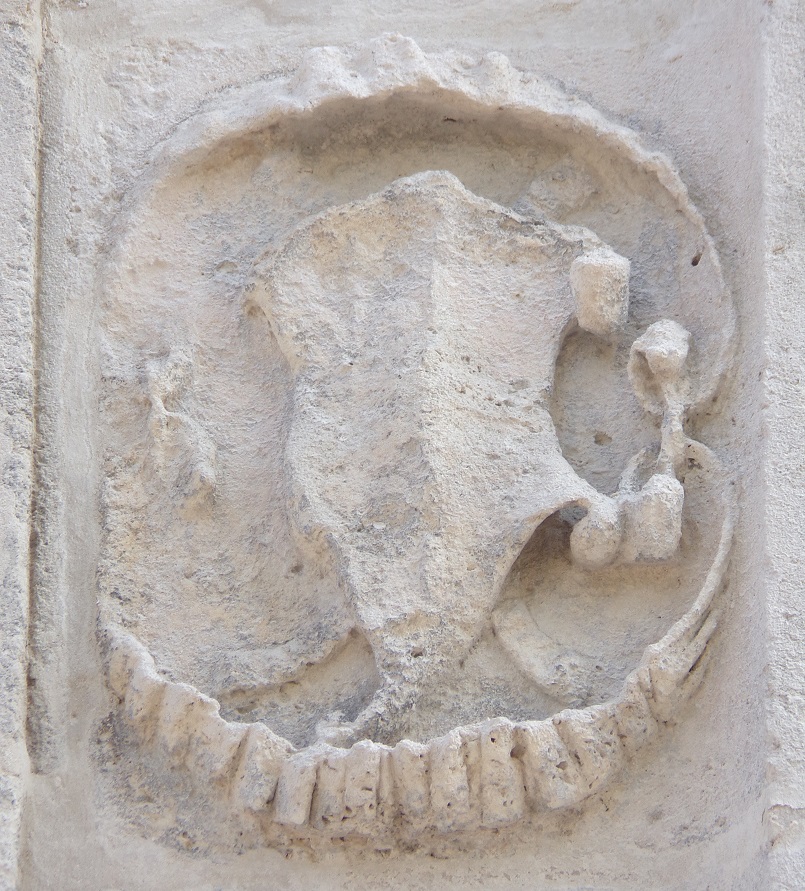 Le Château François 1er - Un médaillon (22 août 2024)