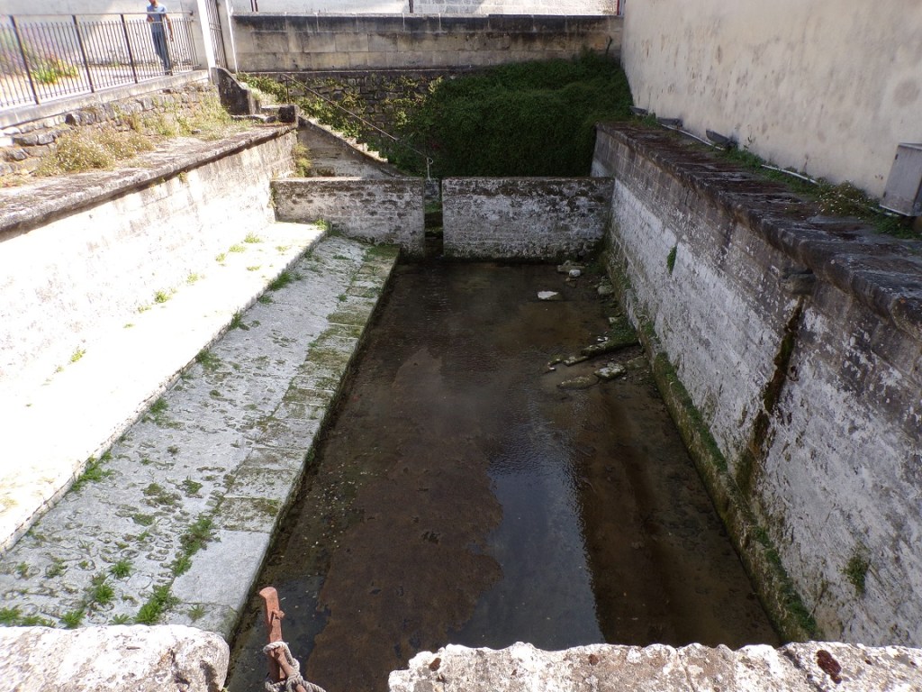 Quai Hennessy - Le Lavoir (22 août 2024)