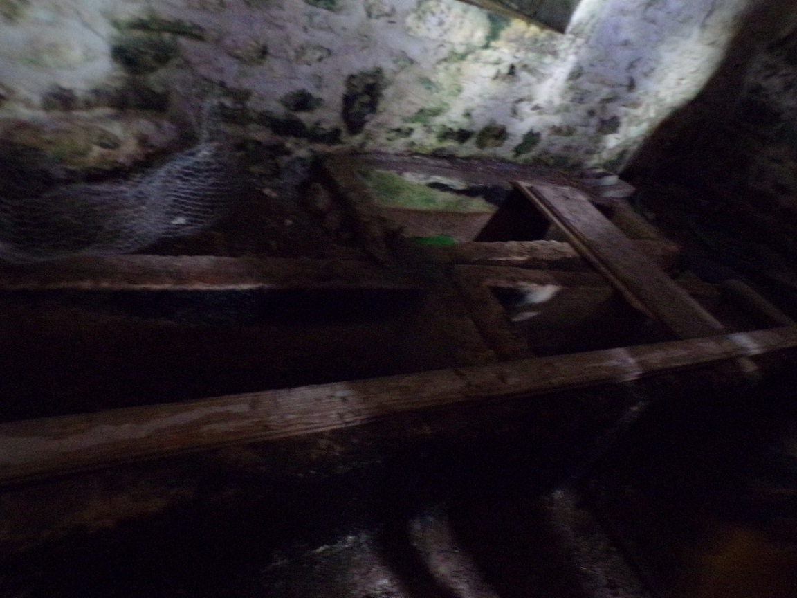 Saint-Trojan - Un Temple privé (21 septembre 2024)